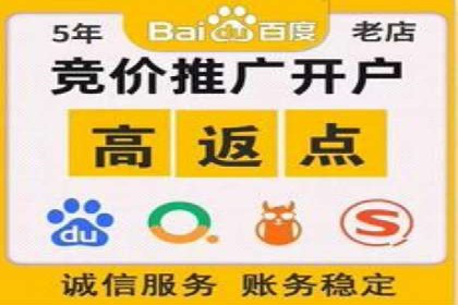 搜索引擎营销（SEM）的运营技巧与实际案例